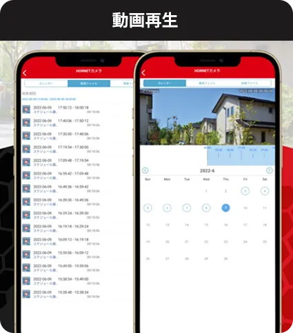動画再生